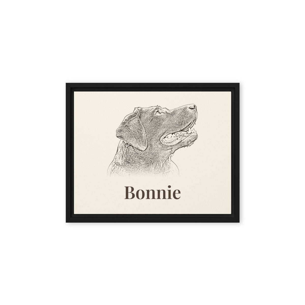 Pencil sketch Labrador portrait on 11x14 black framed canvas