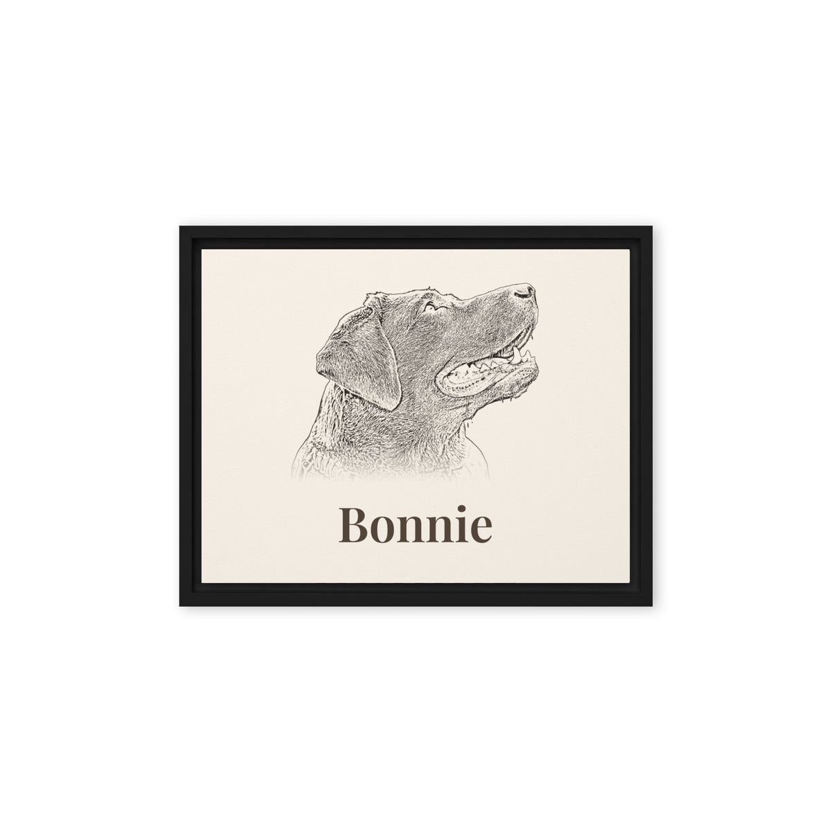 Pencil sketch Labrador portrait on 11x14 black framed canvas