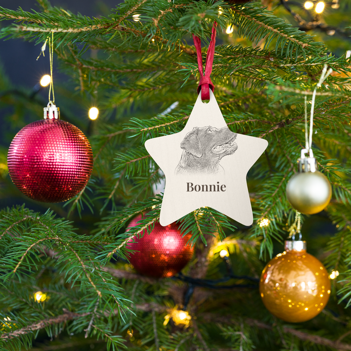Wooden star ornament with sketched dog portrait hanging on a Christmas tree